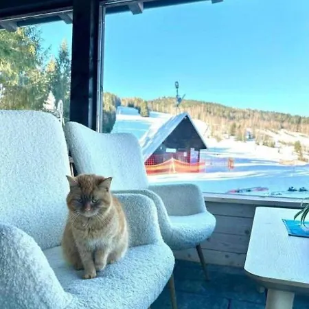 Drevenica Alica Hronec Nizke Tatry