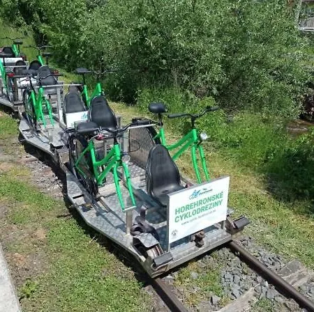 Drevenica Alica Hronec Nizke Tatry Casa vacanze