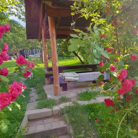 Drevenica Alica Hronec Nizke Tatry * Brezno