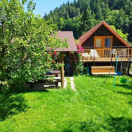 Drevenica Alica Hronec Nizke Tatry *